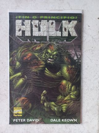 HULK ¿Fin o principio?
