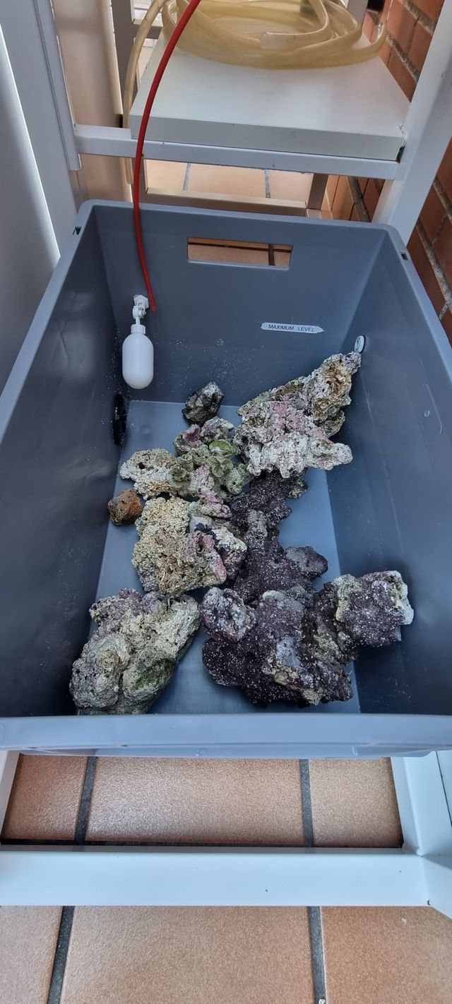 Acuario Marino 80x52x46 -