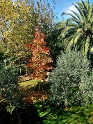 Chalet independiente con jardín 