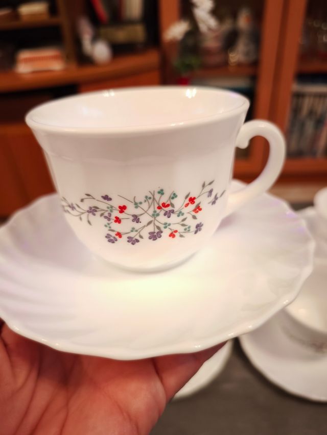 Juego de 6 tazas de porcelana