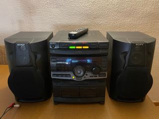 Minicadena Sony MHC-RX100AV