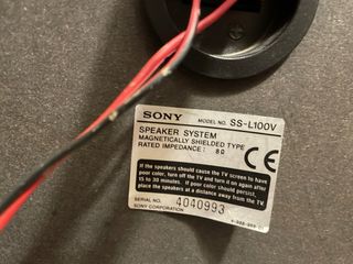 Minicadena Sony MHC-RX100AV