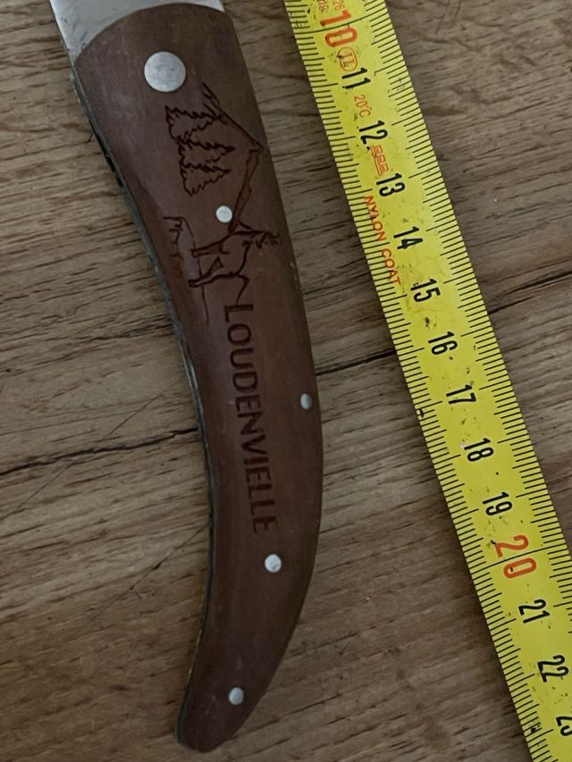 Coltello francese classico di ottima qualità