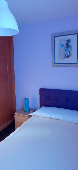 Apartamento Cádiz - Alquiler junio y julio, semana