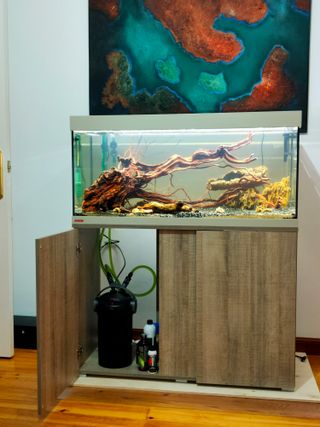 Acuario Eheim Vivaline LED 180