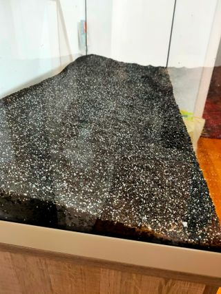 Acuario Eheim Vivaline LED 180