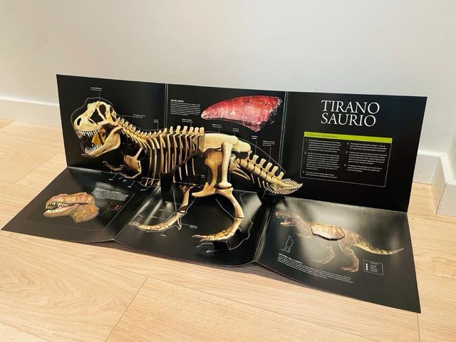 Dinosaurios: Con imágenes en movimiento