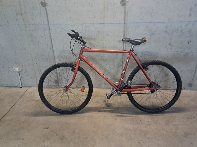 Bicicletta da ragazzo