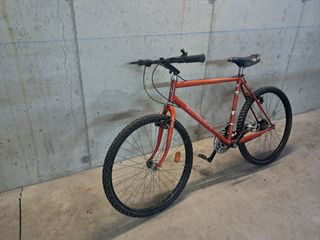 Bicicletta da ragazzo