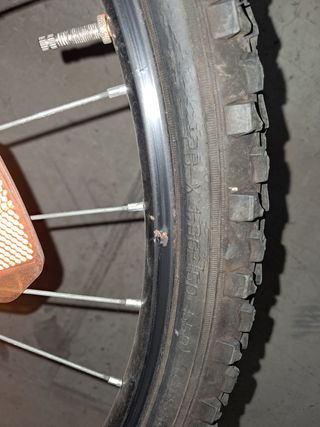 Bicicletta da ragazzo