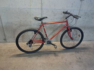 Bicicletta da ragazzo