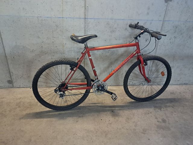 Bicicletta da ragazzo