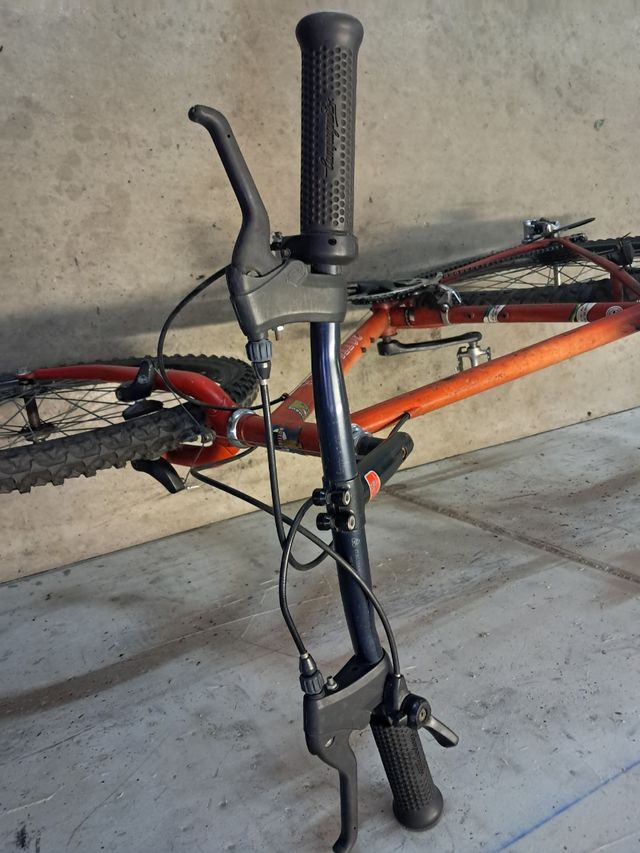 Bicicletta da ragazzo