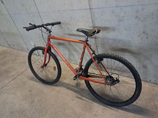 Bicicletta da ragazzo