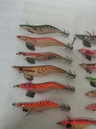 Pajaritos pesca



