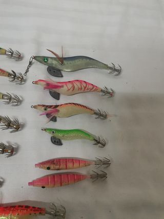 Pajaritos pesca


