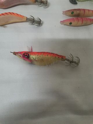Pajaritos pesca


