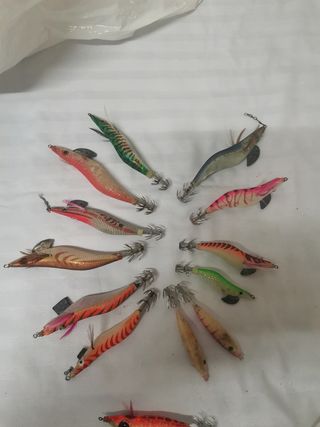 Pajaritos pesca


