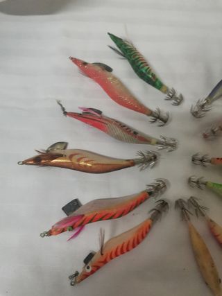 Pajaritos pesca


