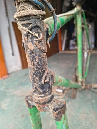 Bicicleta vintage verde