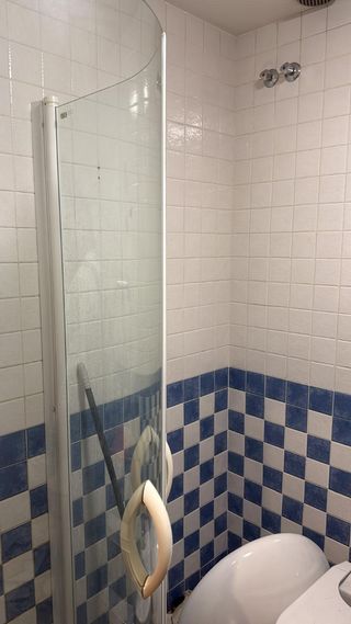 Reformas baño: alicatado, enracholados,plato ducha