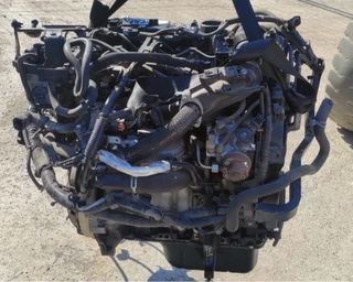Motor 1.6 TDCi 95cv. Tipo TZJA / 9h06