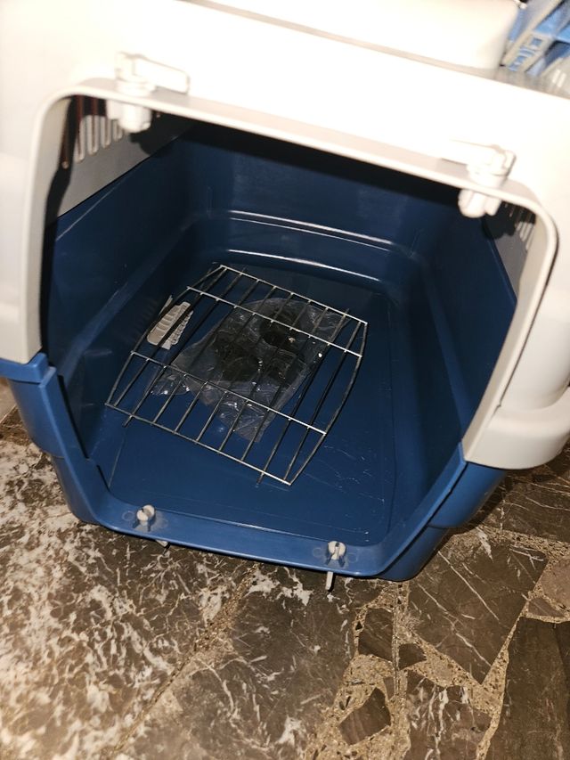 2 pezzi ma si può acquistare anche uno