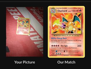 Charizard Holo Reverse - Pokemon