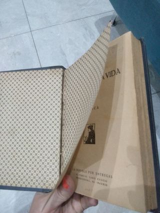 Libro antiguo: La Ciudad de la Niebla.Pio Baroja.