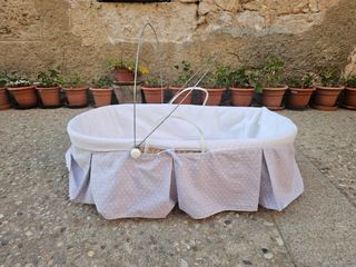 Moisés bebé cestita