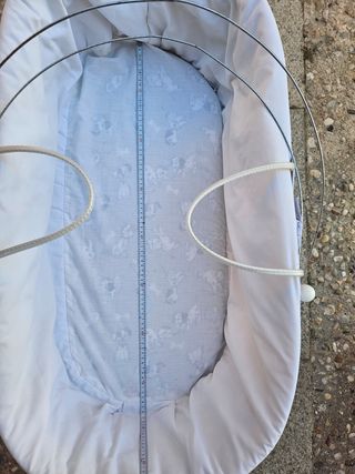 Moisés bebé cestita