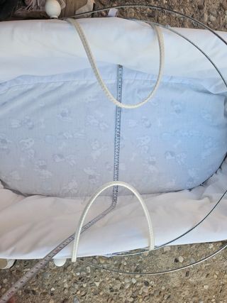 Moisés bebé cestita