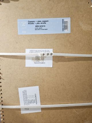 Moisés bebé cestita