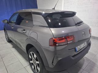 CITROEN C4 Cactus BlueHDi 100 S&S Shine