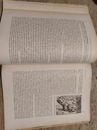 L'Arte nel Rinascimento - Touring Club Italiano