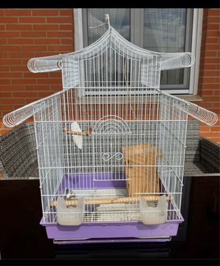 Jaula pajaros blanca y morada