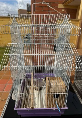 Jaula pajaros blanca y morada