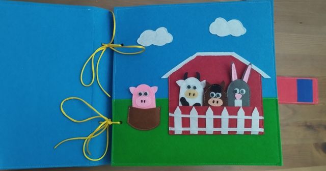 Libro de fieltro desde 50€ (según páginas)