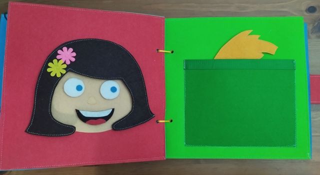 Libro de fieltro desde 50€ (según páginas)