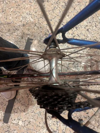 Bicicleta carretera  Vitus Campagnolo