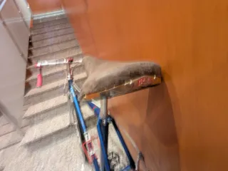 Bicicleta carretera  Vitus Campagnolo