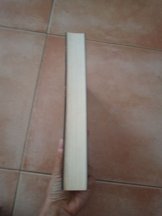 Alcatraz  contra los bibliotecarios malvados