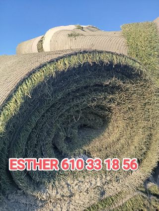 Césped reciclado