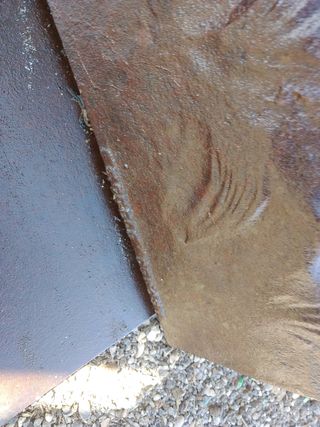 Plancha galgo relieve única sólo recogida Zaragoza