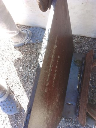 Plancha galgo relieve única sólo recogida Zaragoza