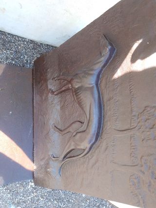 Plancha galgo relieve única sólo recogida Zaragoza