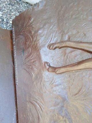 Plancha galgo relieve única sólo recogida Zaragoza