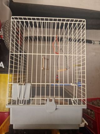 Jaula pajaros grande gris