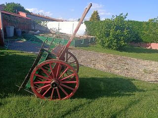 Carros antiguos y calesa de caballos
