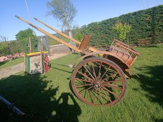 Carros antiguos y calesa de caballos